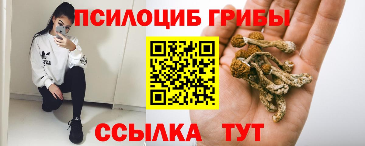 Псилоцибиновые грибы Psilocybine cubensis  Вход с VPN  Елец 